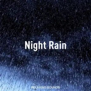 Sound of Rain in the Night