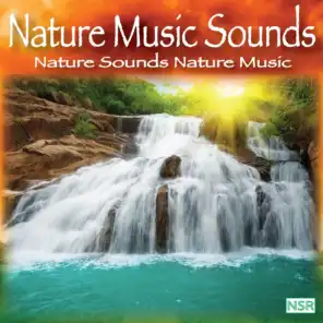 Nature Sounds: Nature Music