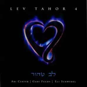 Lev Tahor 4