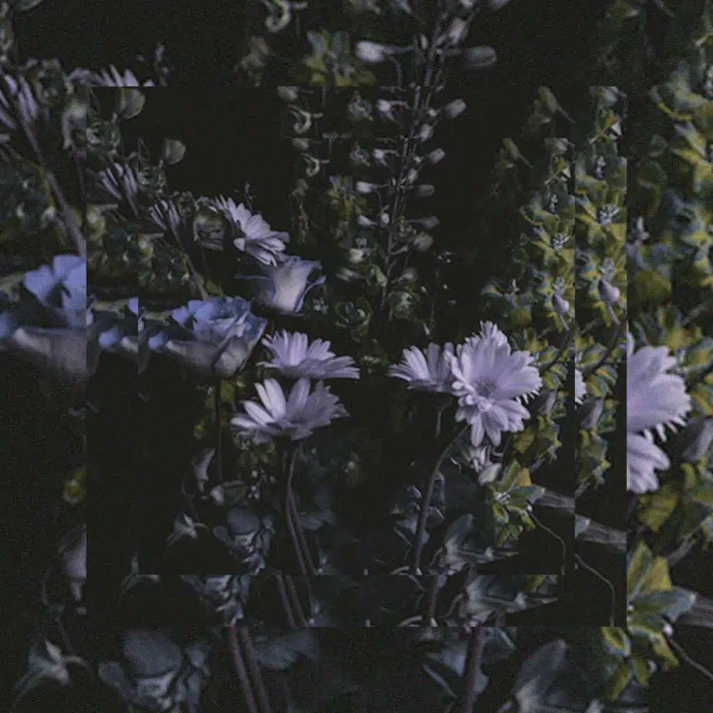 Hope You Think It's Beautiful.