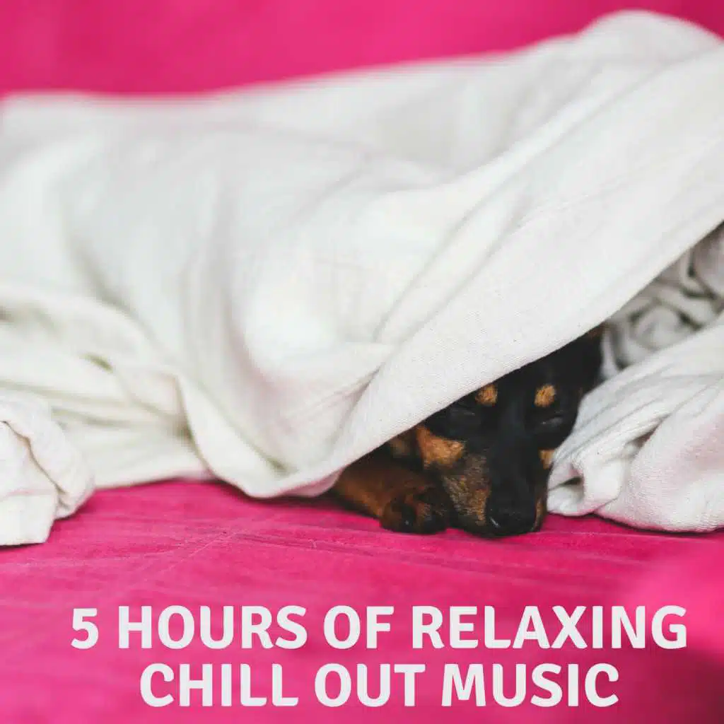 5 Hours Of Relaxing Chill Out Music
