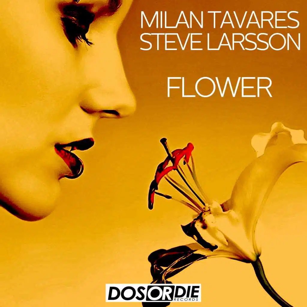 Milan Tavares & Steve Larsson