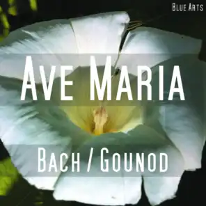 Ave Maria ( Bach , Gounod )