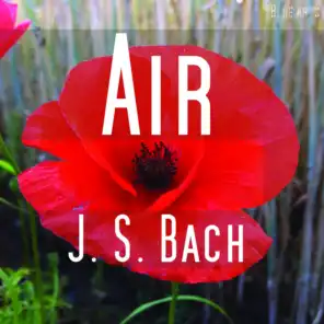 Air ( Bach )