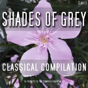 Shades of Grey - Classical Compilation (50 Tracks)