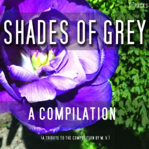 Shades of Grey - A Fifty Track Compilation