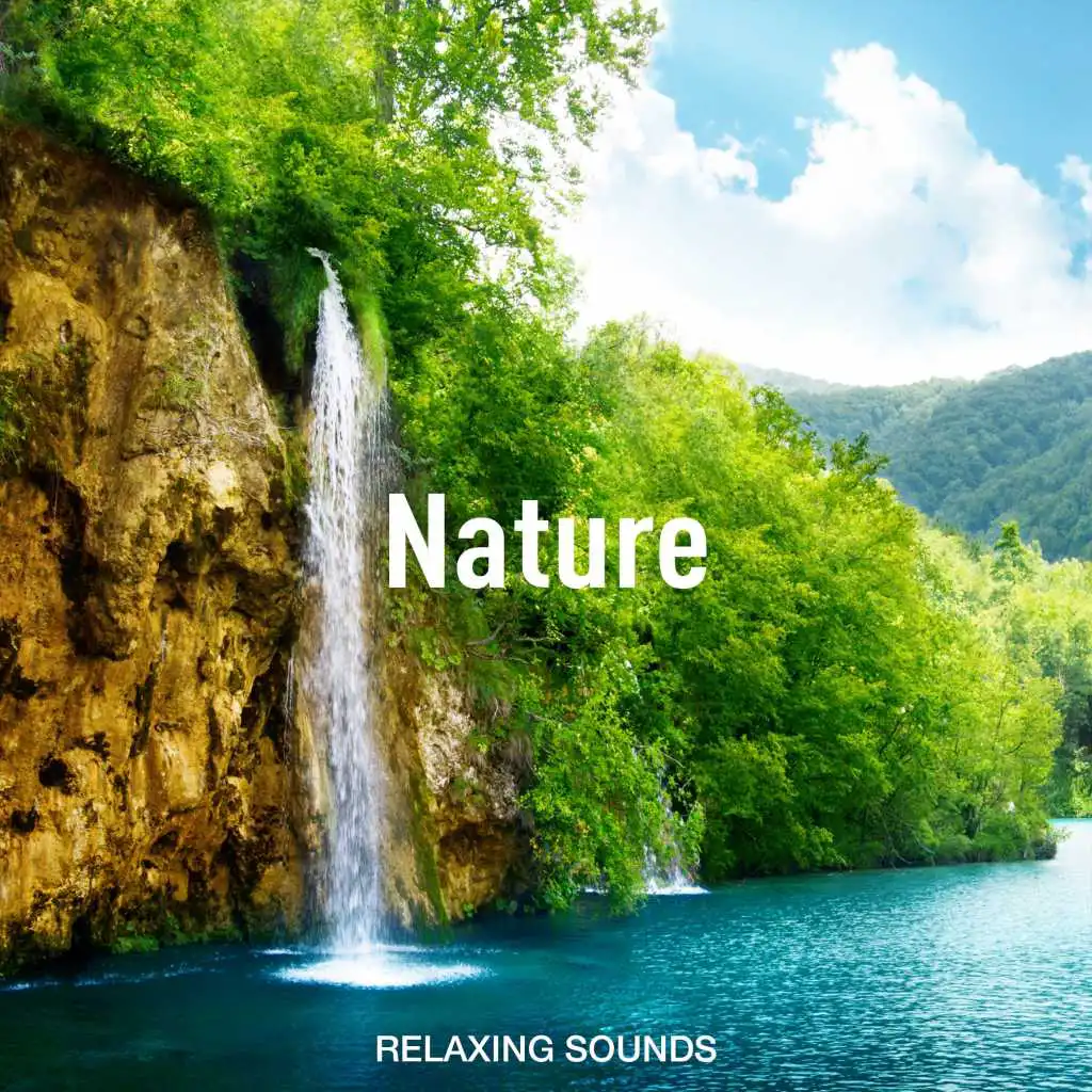 Nature Sounds for Sleeping