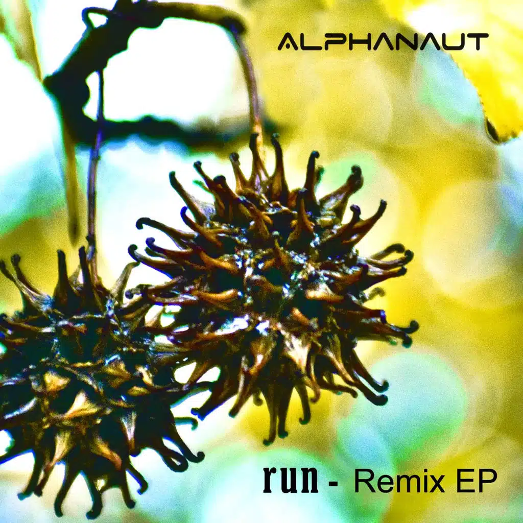 Run - Remixes