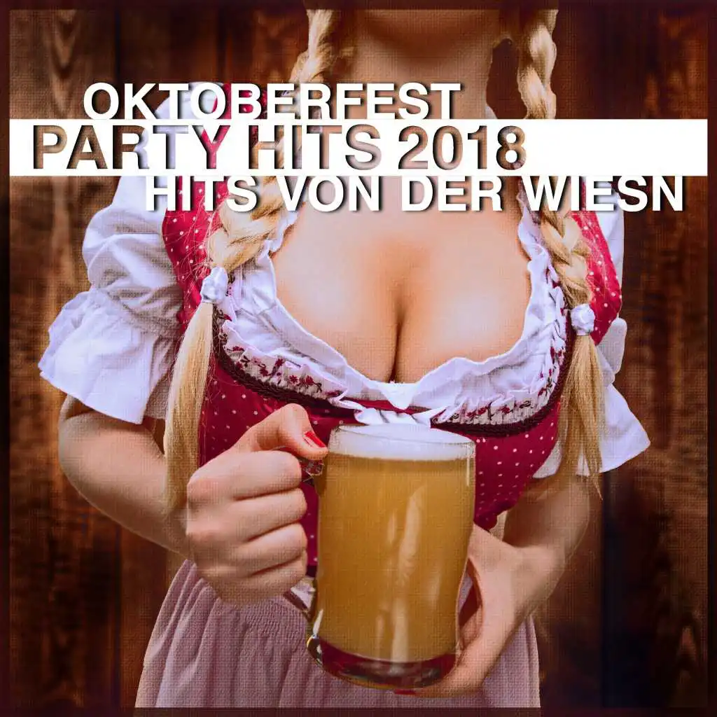 Oktoberfest in Bayern (Party Mix)