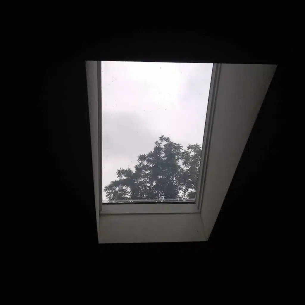 Creation. Stagnation.