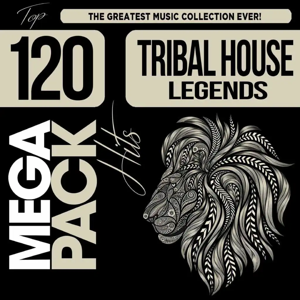 Tribal Vibe (Peruz Mix)