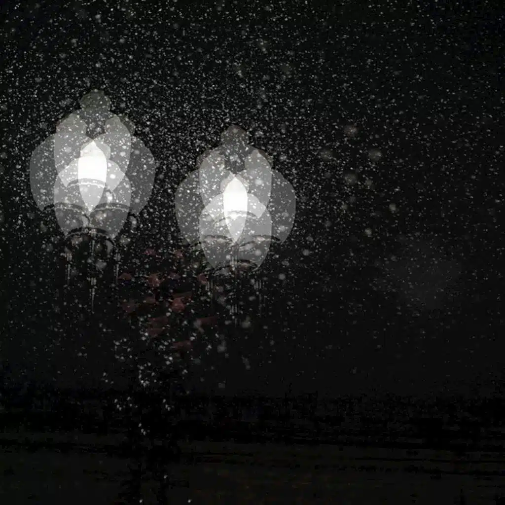 Lost in the Beautiful Blizzard