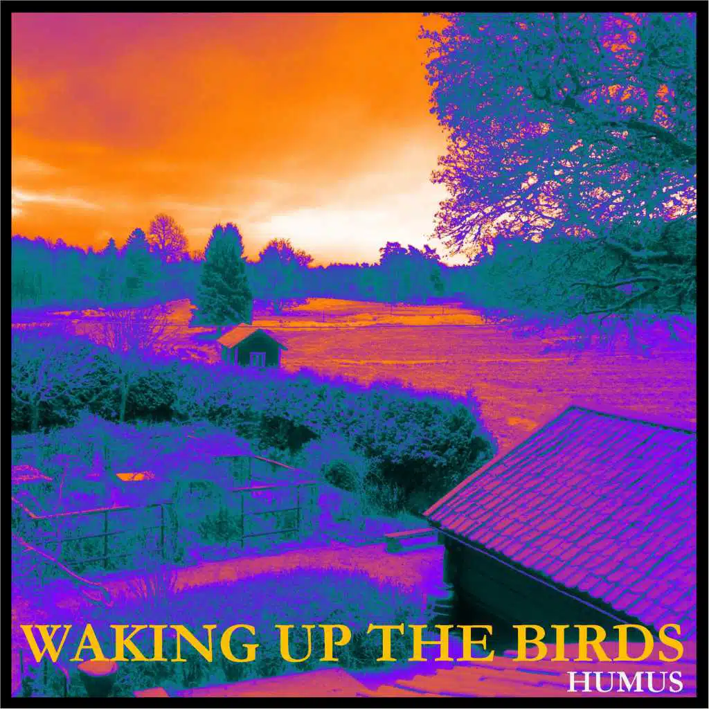 Waking Up the Birds
