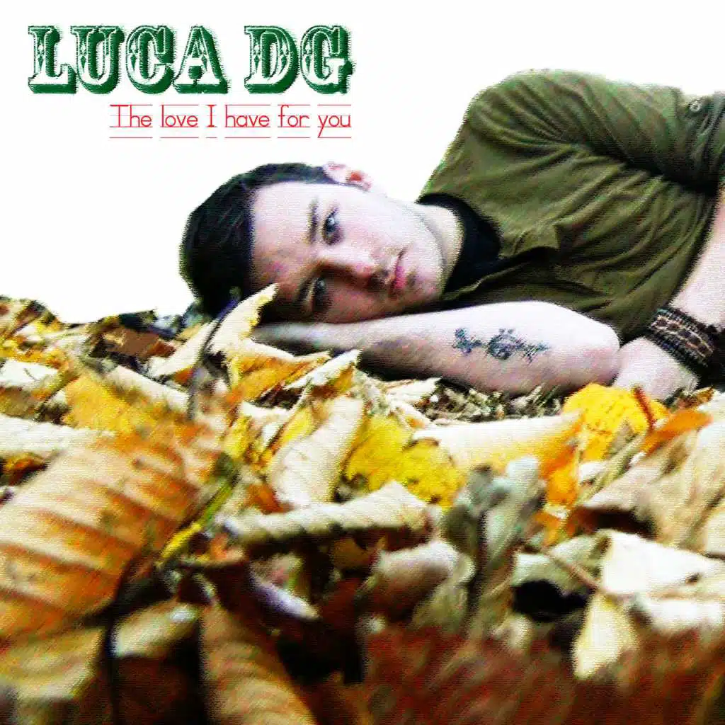 The Love I Have for You