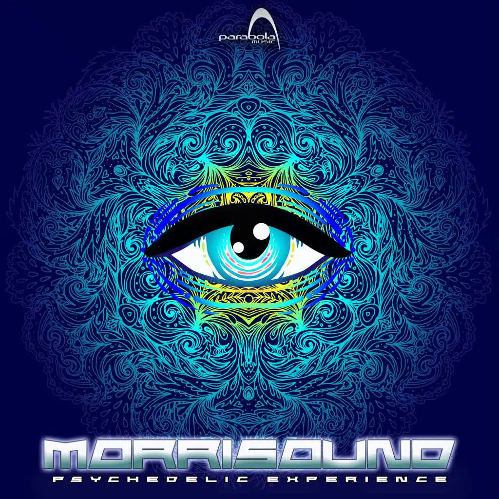 Psychedelic Experience