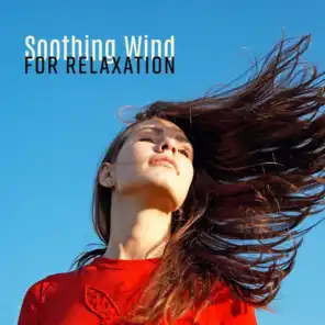 Soothing Wind for Relaxation