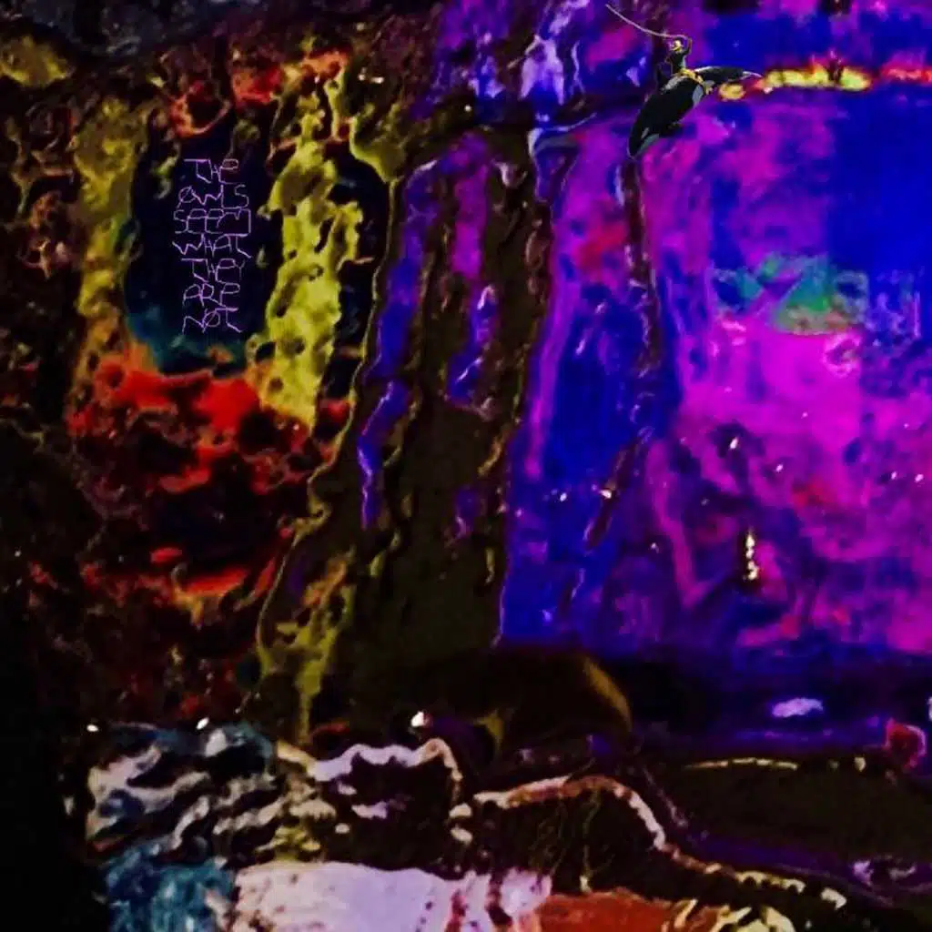 Whirl Around the Whirr Rider Riding a Whale Down a Waterfall