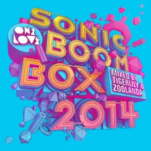 Onelove Sonic Boom Box 2014 (Continuous DJ Mix 1)