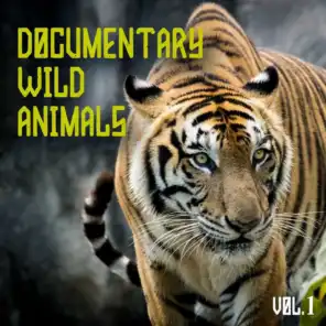 Documentary Wild Animals, Vol. 1