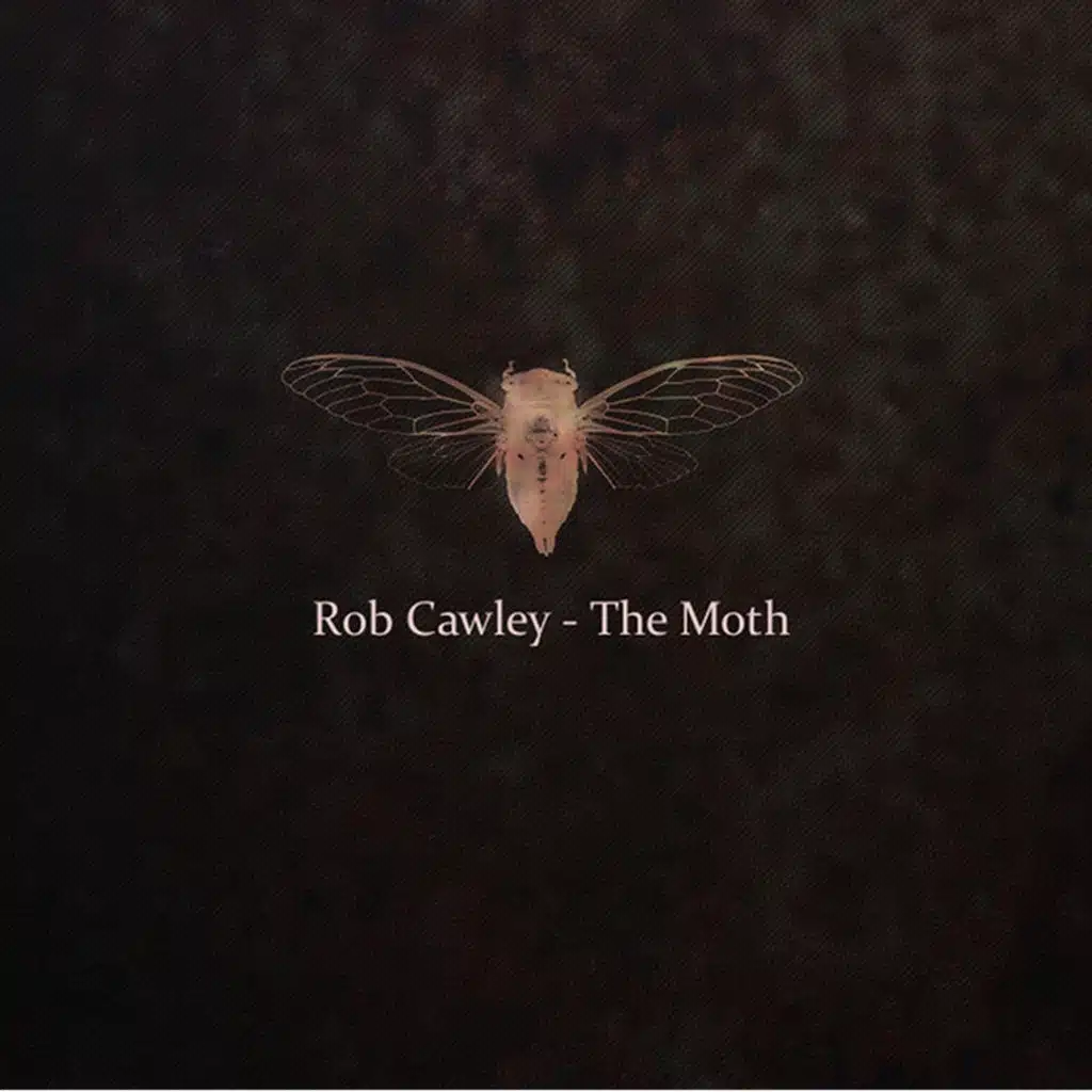 The Moth