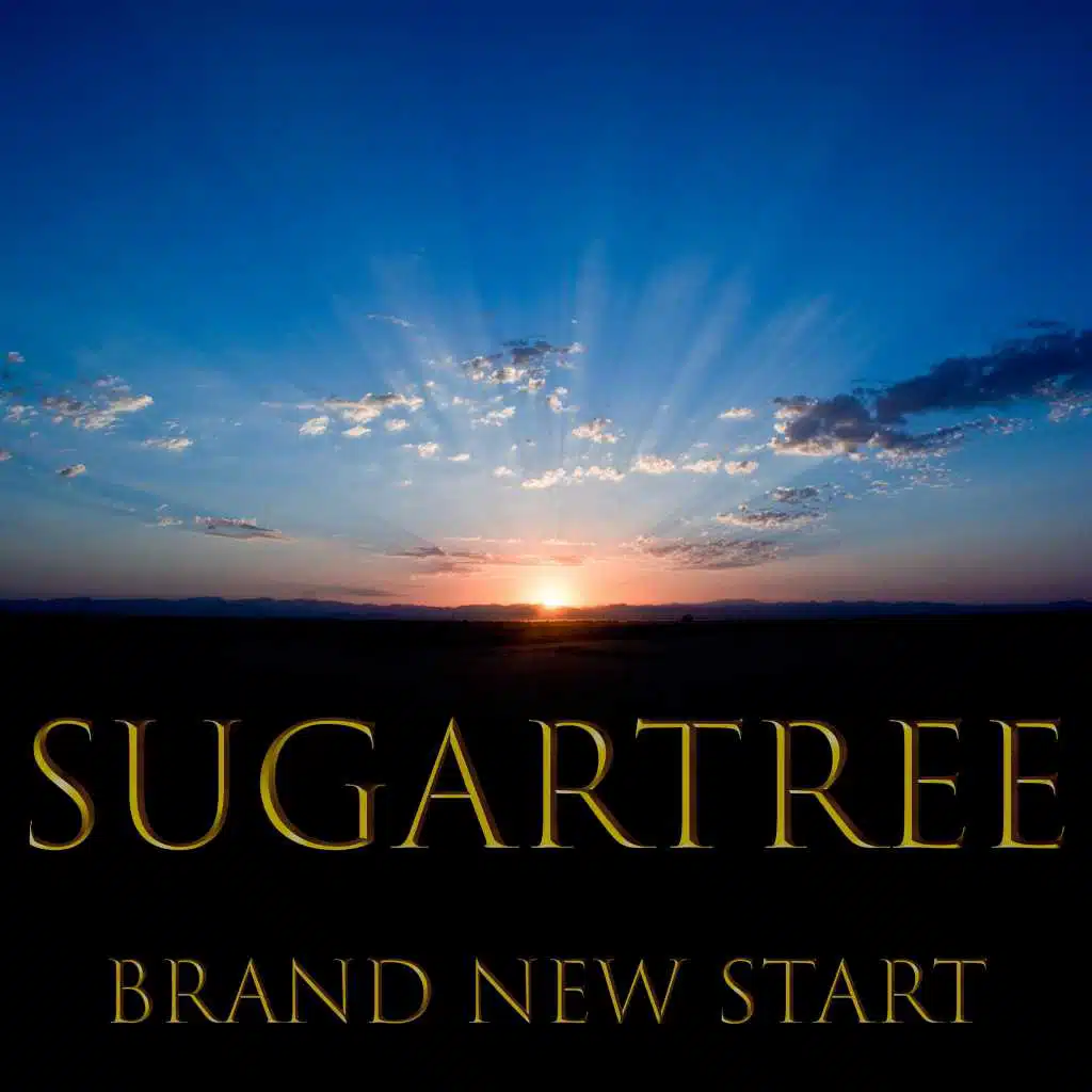 Brand New Start