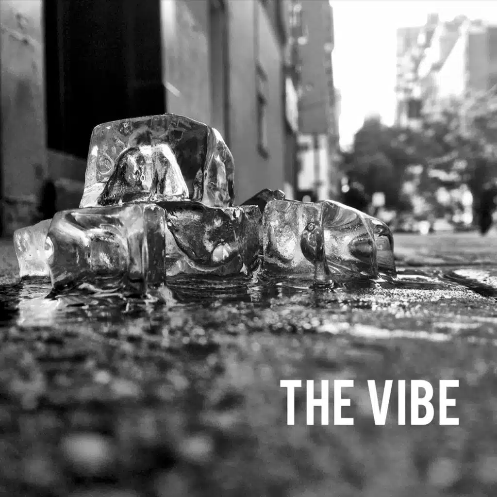 The Vibe (feat. Oddisee & Hassaan Mackey)