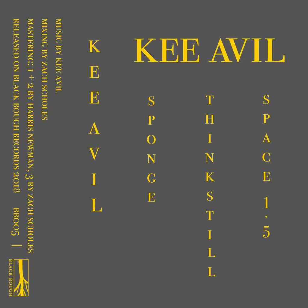 Kee Avil