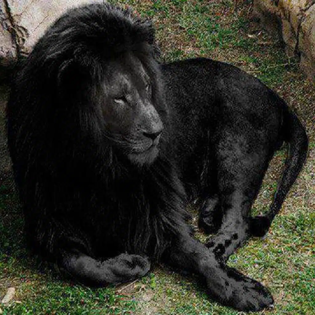 Michael U (feat. Angel Monet, Margo Thunder, Laura Pina-Shelton, Wanda Perry-Josephs, Wayne Jones, Raphael, Lisa Lee & C4)