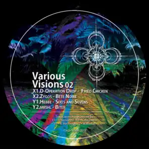 Various Visions 02 (feat. mrshl, Hebbe & Zygos)