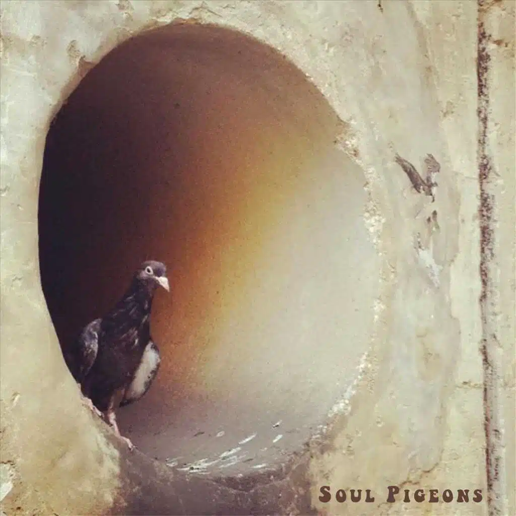 Soul Pigeons