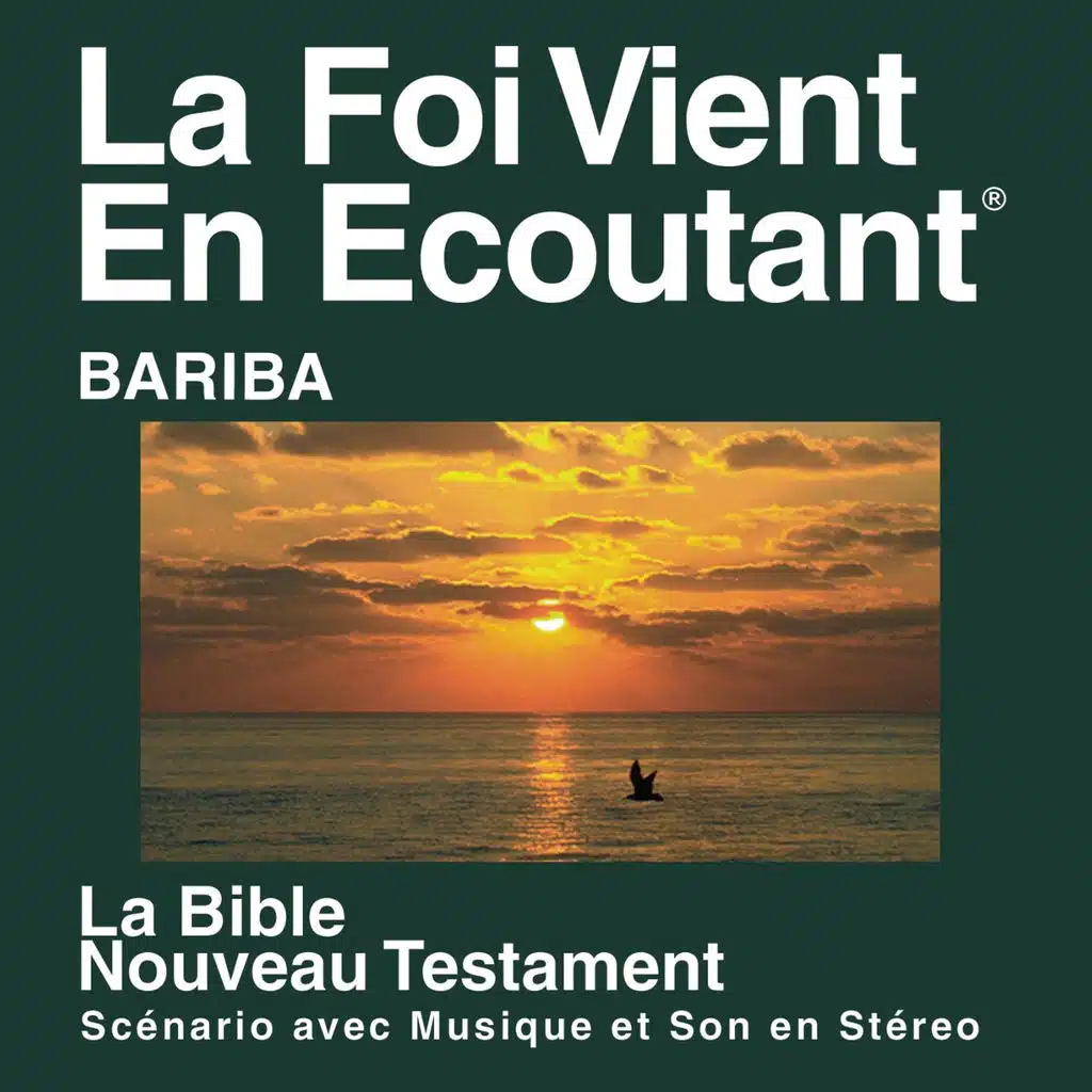 Bariba&nbsp;Du Nouveau Testament&nbsp;(Dramatisé) - Bariba Bible