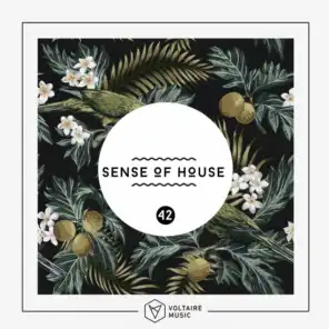 Sense Of House, Vol. 42