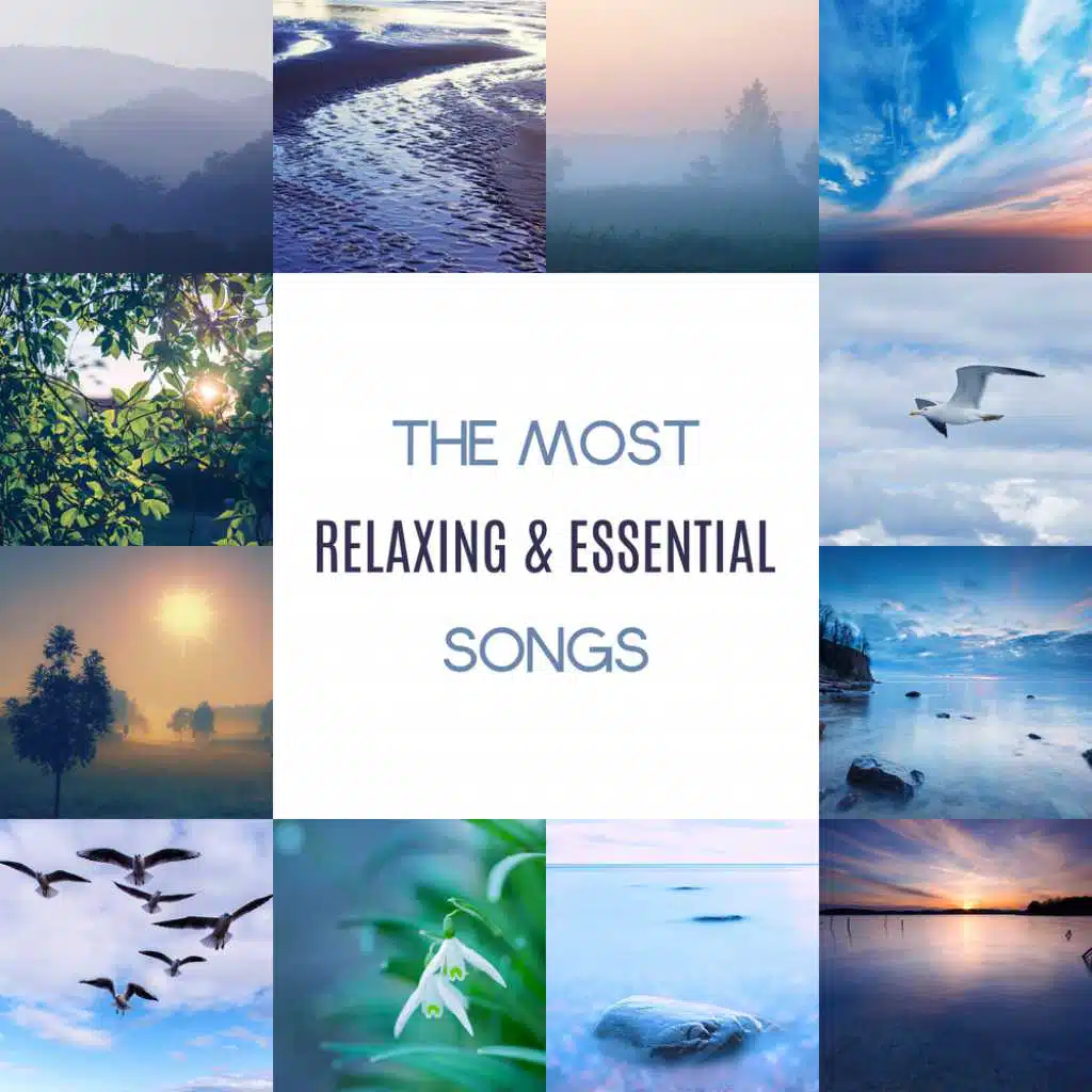 The Most Relaxing & Essential Songs