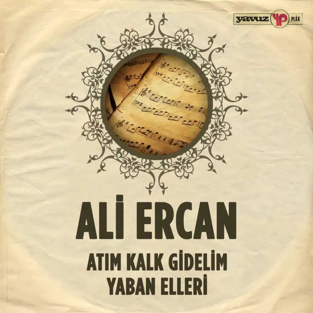 Ali Ercan
