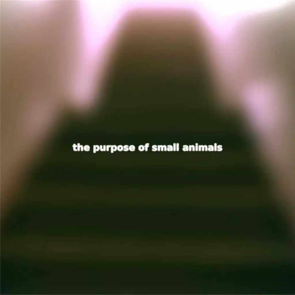 The Purpose of Small Animals
