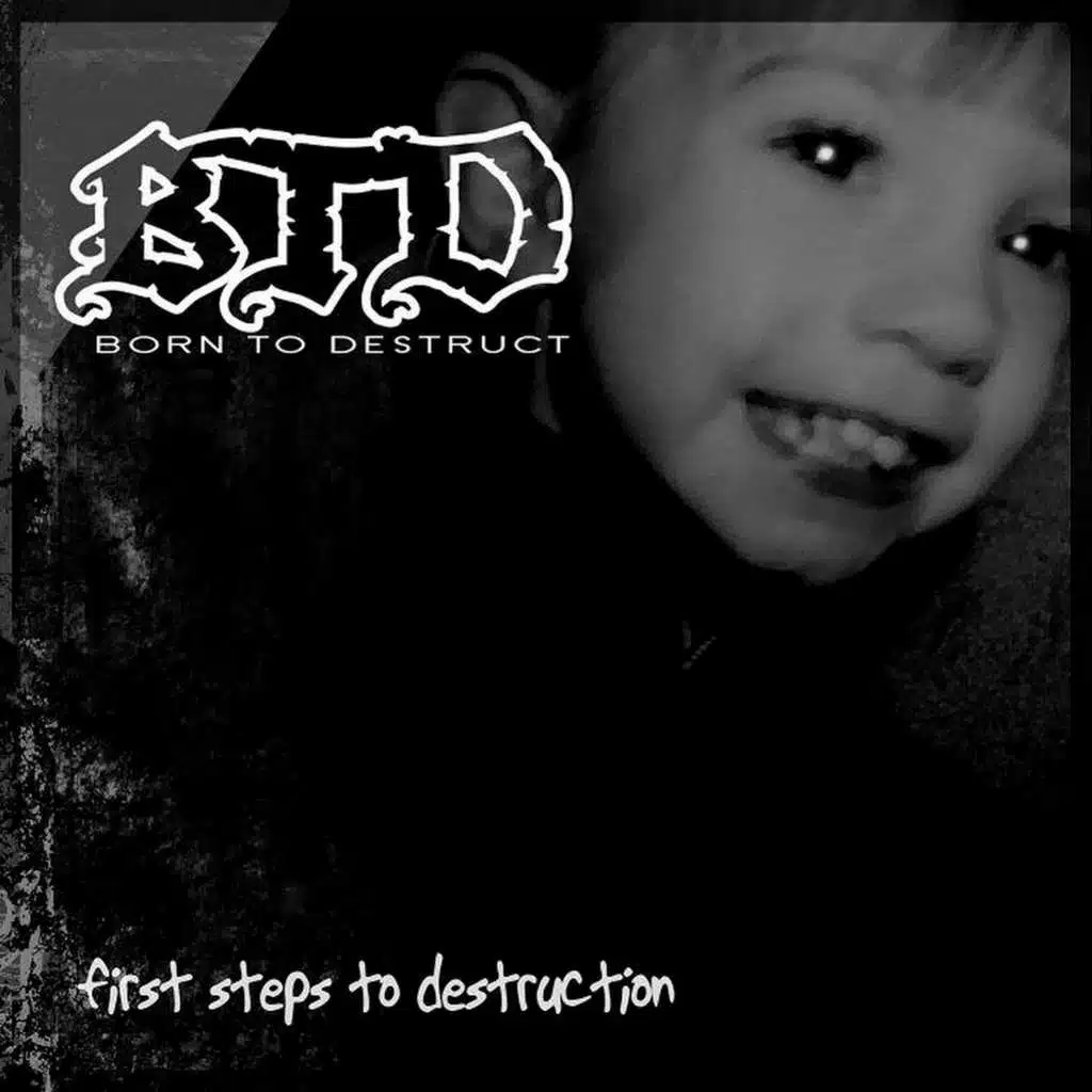 First Steps to Destruction