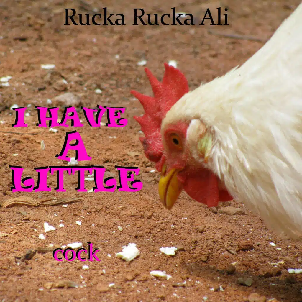 I Have a Little Cock
