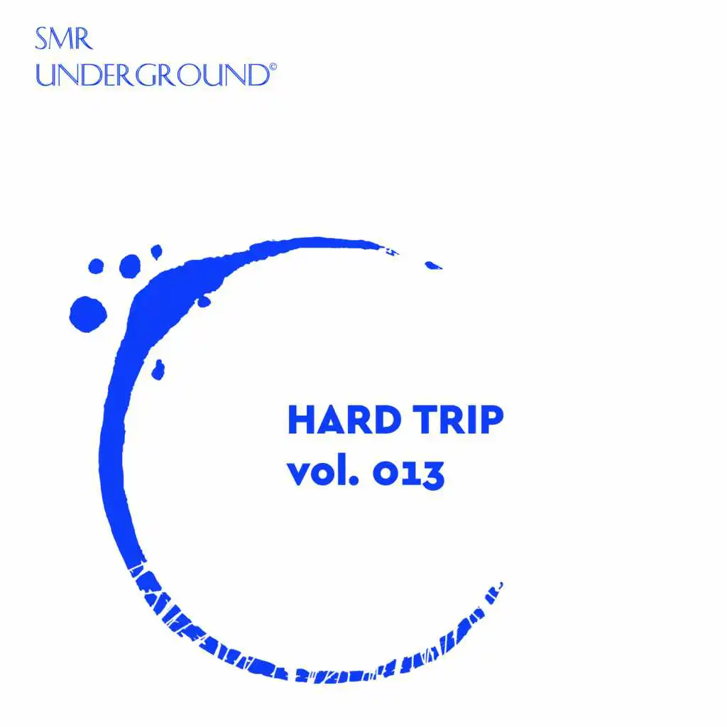 Hard Techno Trip Vol.XIII