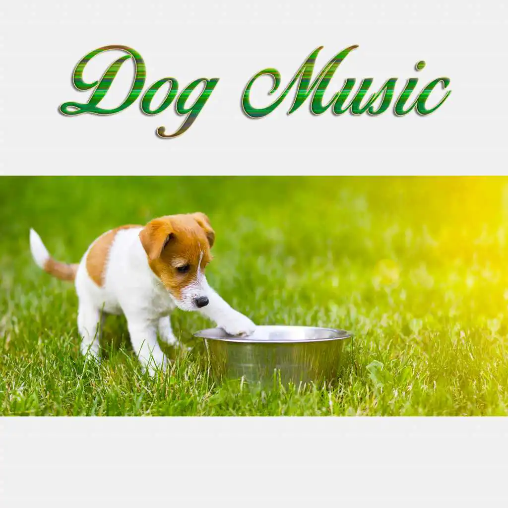 Peaceful Music For Dogs