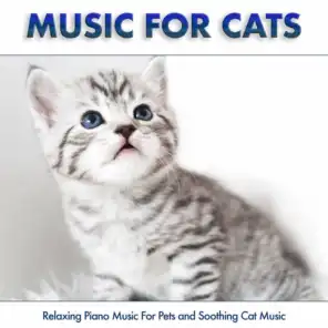 Piano Music For Cats