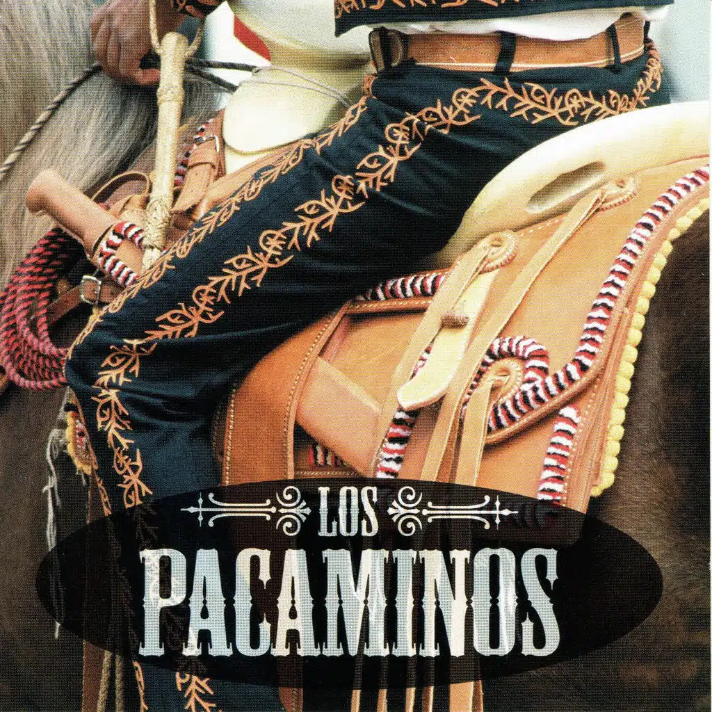 Los Pacaminos