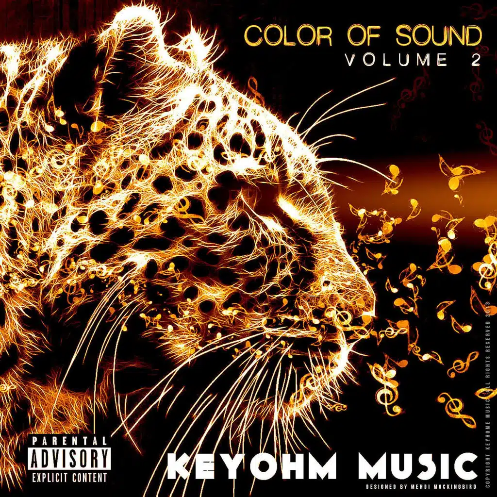 Color of Sound, Vol. 2.