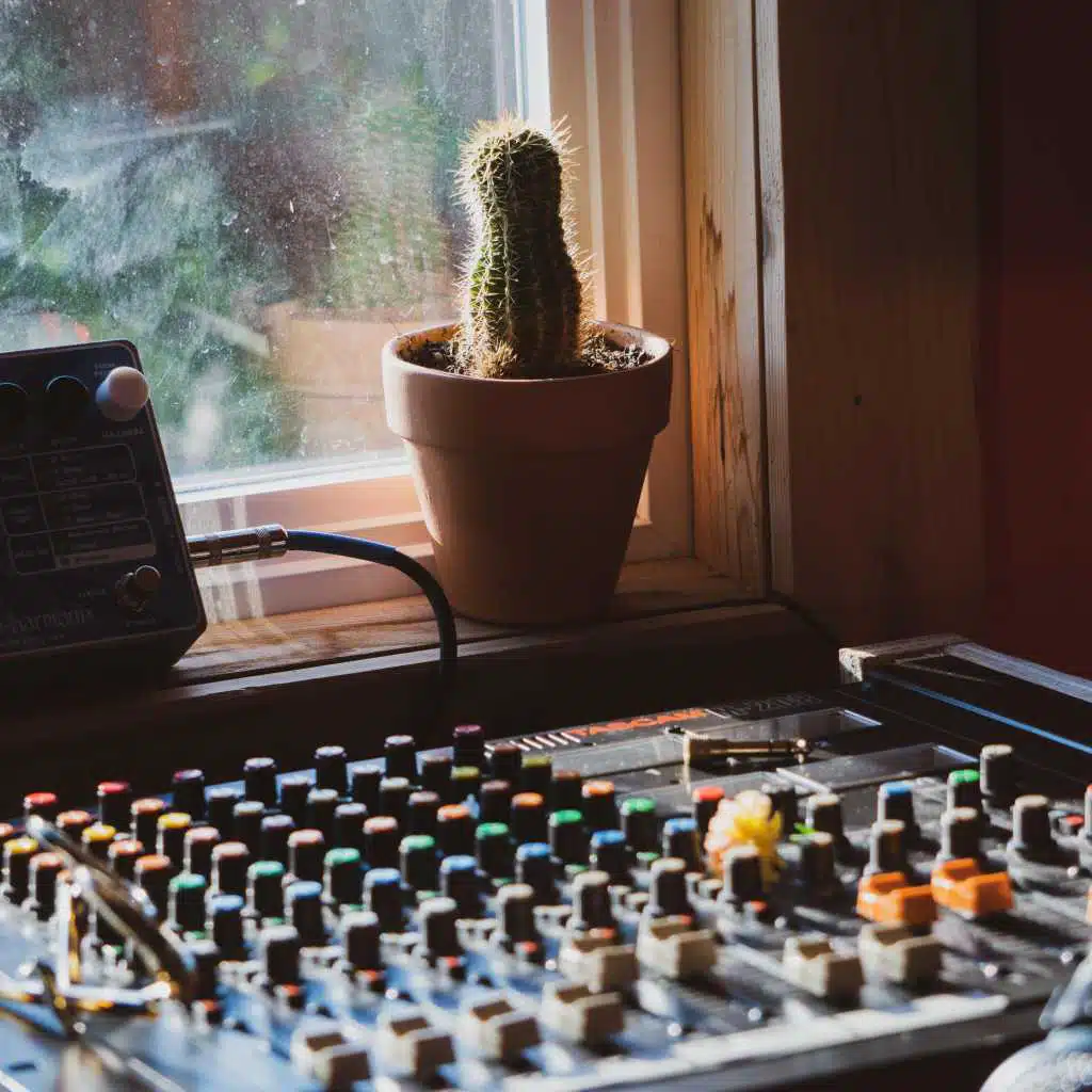 Serenity (feat. Houseplants_)