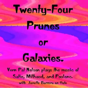 Twenty-Four Prunes or Galaxies