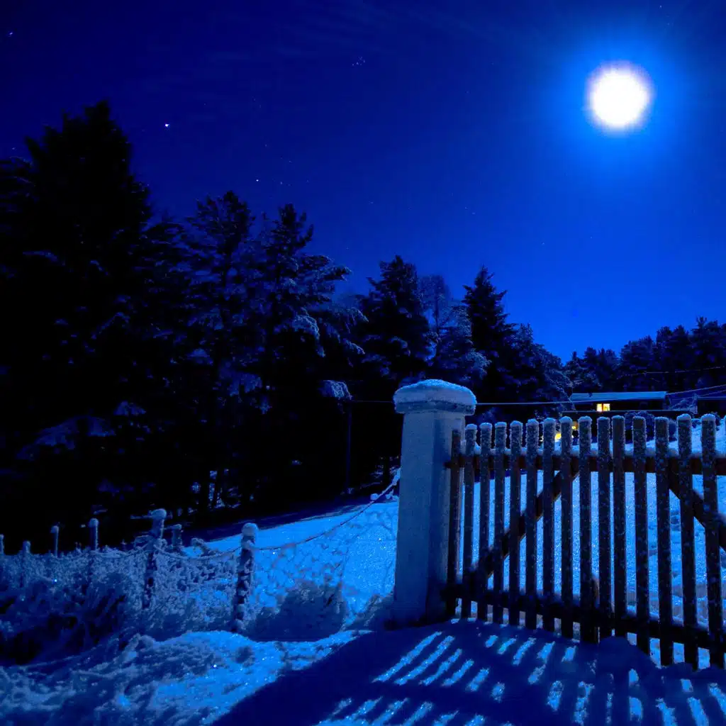Winter Night