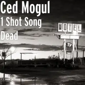 1 Shot Song Dead