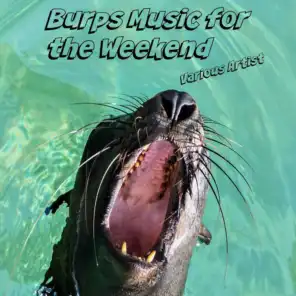 Burps Music for the Weekend