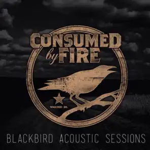 Blackbird Acoustic Sessions