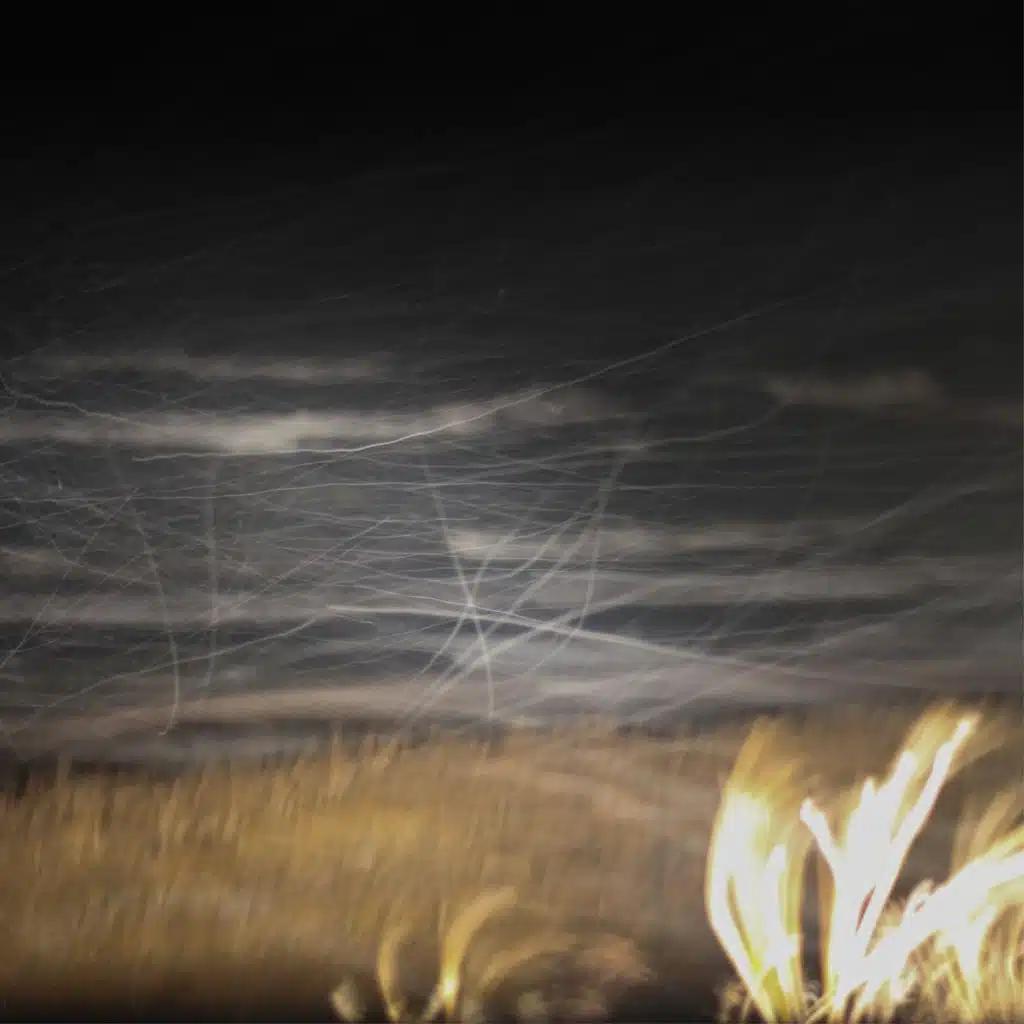 Everything Looks Different in the Daylight