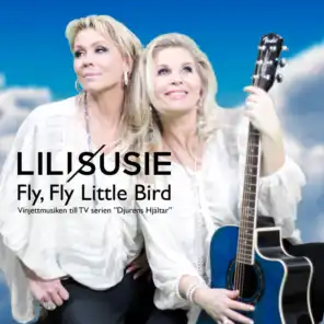 Fly, Fly Little Bird